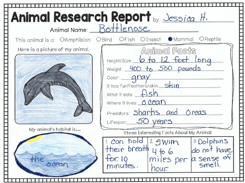 Animal Research - Bracken 1st Grade